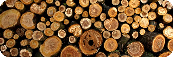 Holz für Handlauf Holzstapel von RubberDragon at flickr